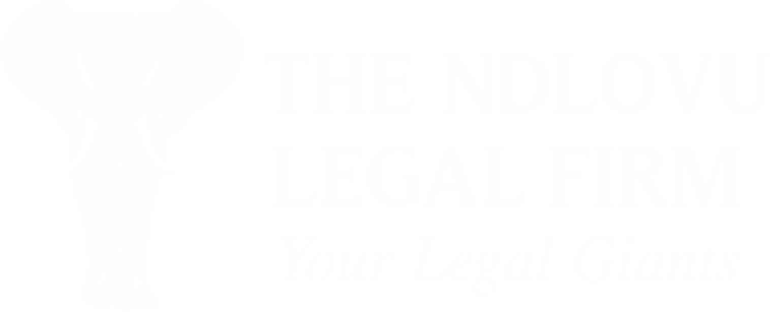 The Ndlovu Legal Firm